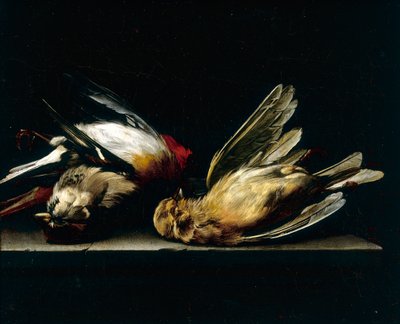 Tote kleine Vögel von Willem van Aelst